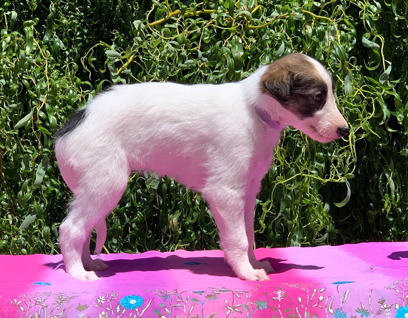 5 weeks - Girl 1 right